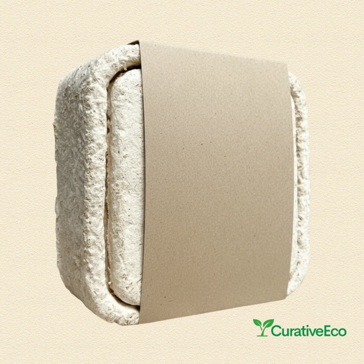 Mycelium Package Box